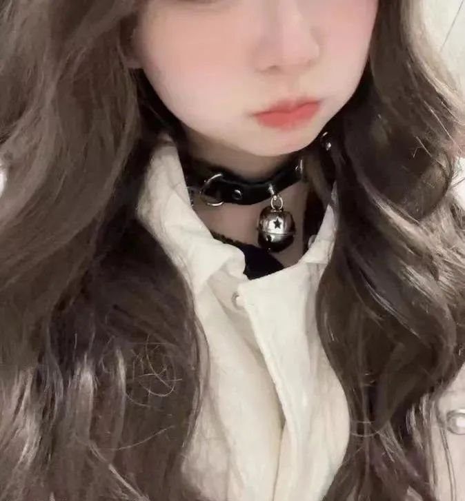 温柔叛逆的小猫叙事，小众圈层的独特温柔秩序