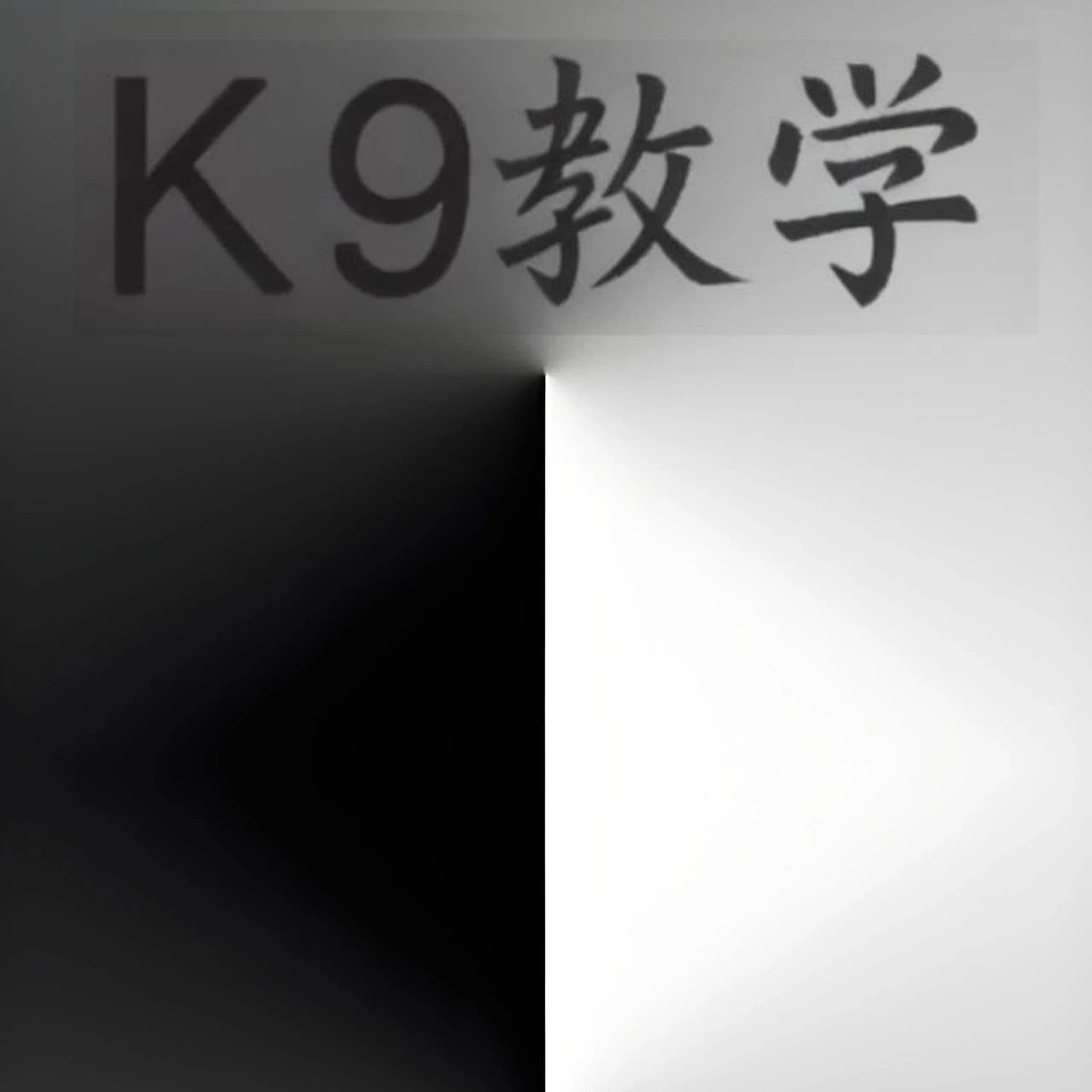 K9新手训练 | 如何训出一条K9小乖狗